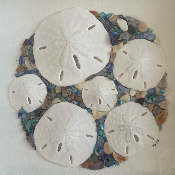 Sand Dollar Collage Beach Tropical Coastal Shadowbox - Picture 1 of 5
